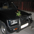Kaum zuhause angekommen bemerkte man das etliche Autos in der Strasse mit Blumen/Pflanzen geschmückt waren.
Wohl doch kein Geschenk wegen der Präsidentschaftswahl?
Ne, waren besoffene vom GEORGIKIRTAG...